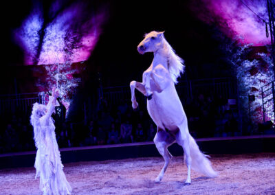 Cheval cabré - Spectacle équestre Le Mystère du Triskell